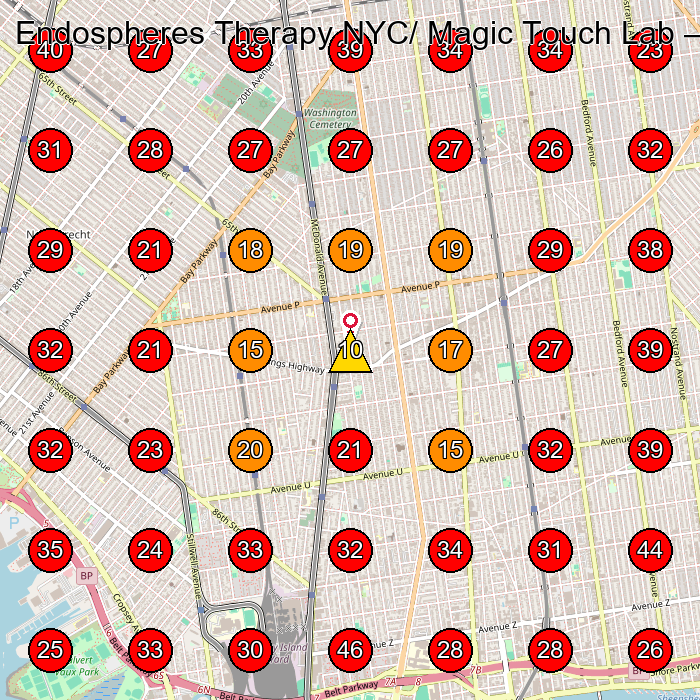 Endospheres Therapy NYC/ Magic Touch Lab GeoGrid visibility map for Iron Works in Brooklyn